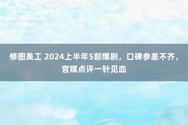 修图美工 2024上半年5部爆剧，口碑参差不齐，官媒点评一针见血