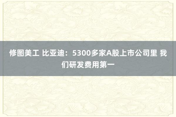 修图美工 比亚迪：5300多家A股上市公司里 我们研发费用第一